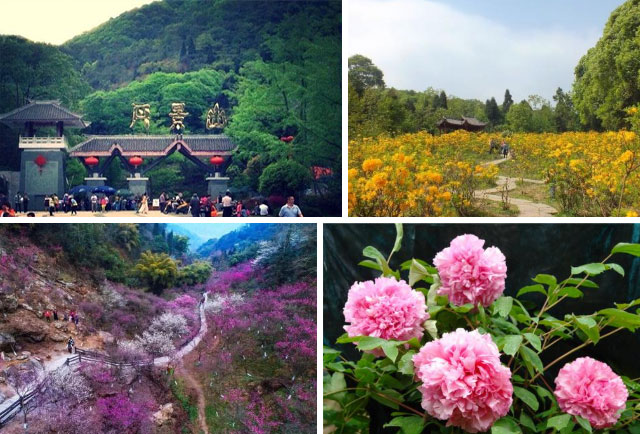 “春遊踏青季，團(tuán)建(jian)收心時“山(shān)美特2018春季團(tuán)建(jian)活動(dòng)及(ji)場(chang)地推薦13.jpg